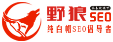 鄭州網(wǎng)站優(yōu)化公司-SEO外包、快照排名推廣服務(wù)-野狼SEO團(tuán)隊(duì)