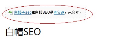 白帽子seo
