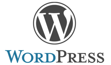 wordpress的seo優(yōu)化技巧