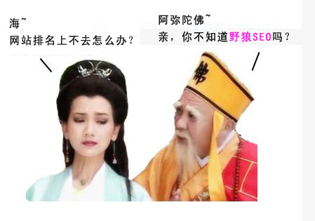 野狼專注網(wǎng)站排名