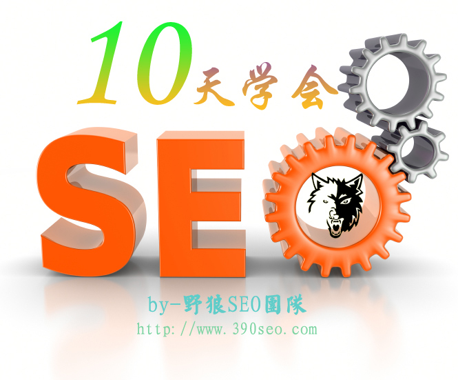 10天學(xué)會SEO