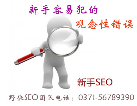 網(wǎng)站優(yōu)化過程中新手容易犯的觀念性錯誤
