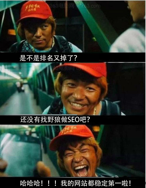 網(wǎng)站優(yōu)化排名穩(wěn)定找野狼