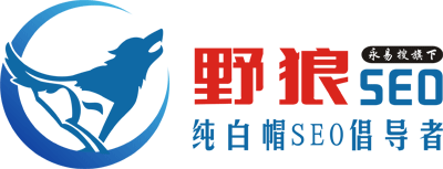 野狼SEO團(tuán)隊(duì)