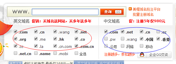 中英文域名