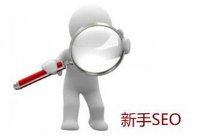新手學(xué)習(xí)SEO