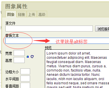 替換文本處添加的就是alt標(biāo)簽