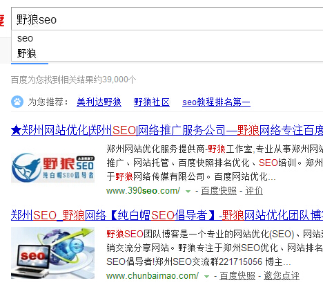 野狼SEO